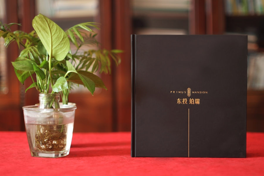 宣傳冊(cè)設(shè)計(jì)這么做，大氣側(cè)漏！